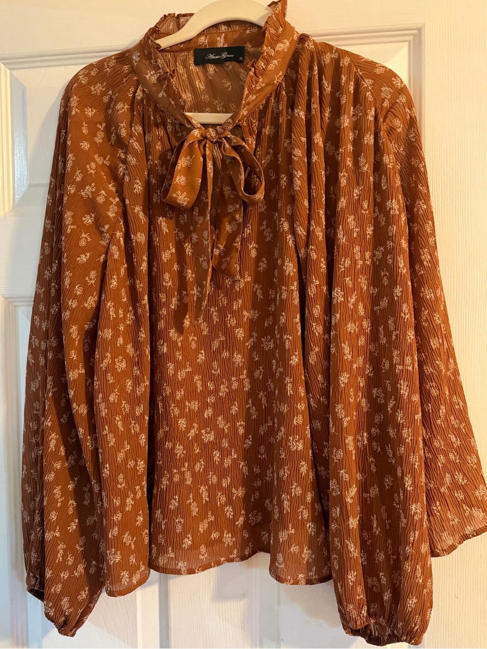 Anna Grace Autumn Brown/Rust Floral Tie-Neck Women's Blouse - Large